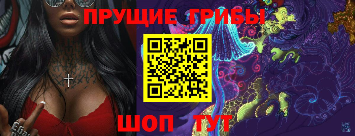 Псилоцибиновые грибы Psilocybine cubensis Мценск