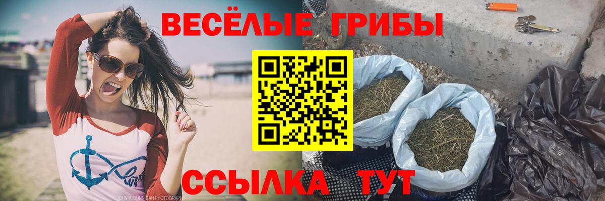 Псилоцибиновые грибы мицелий  Вход с VPN  Мценск 