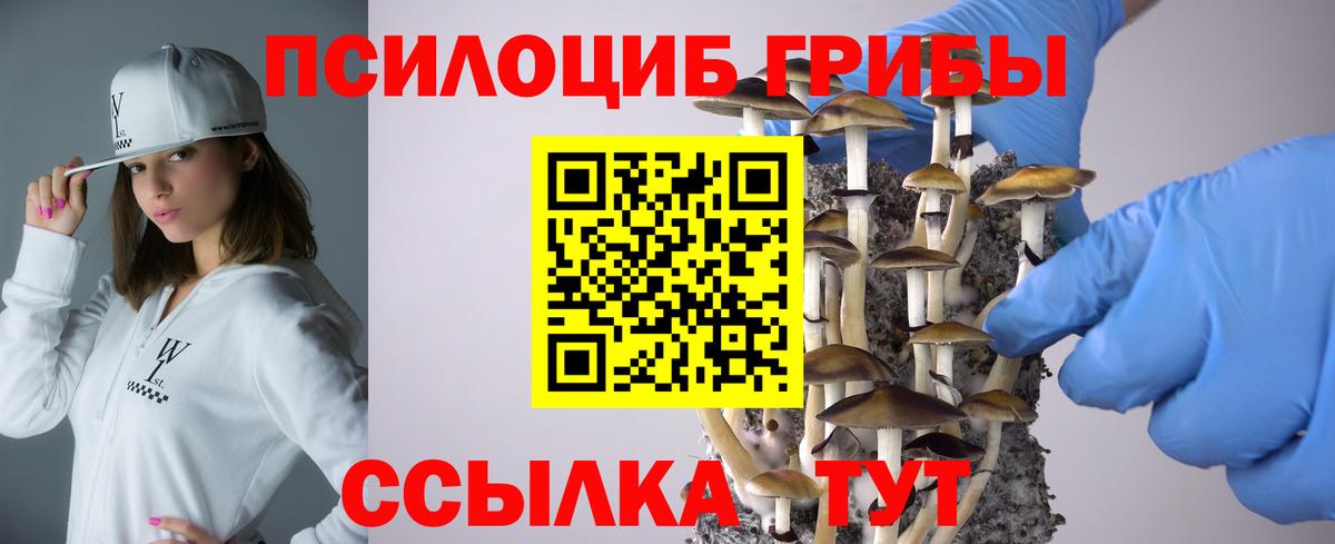 Псилоцибиновые грибы GOLDEN TEACHER  Мценск 